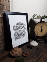 Load image into Gallery viewer, "Oyster Mushroom" Pen and Ink Mushroom Recycled Print - Gnostic Forest Art