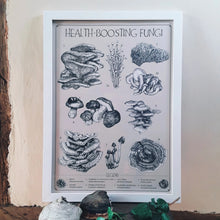Load image into Gallery viewer, &quot;Health-Boosting Fungi&quot; Medicinal Mushrooms Pen and Ink Recycled Print - Gnostic Forest Art