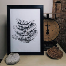 Load image into Gallery viewer, "Chicken of the Woods" Pen and Ink Mushroom Recycled Print - Gnostic Forest Art