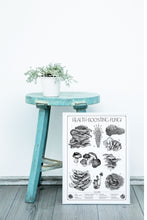 Load image into Gallery viewer, "Health-Boosting Fungi" Medicinal Mushrooms Giclée Fine Art Print on Bamboo - Gnostic Forest Art