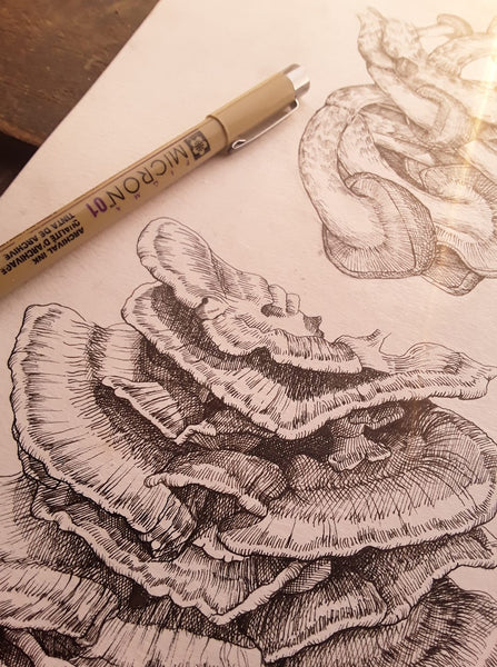 What I've learned about creating art from my van