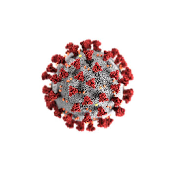 Coronavirus update