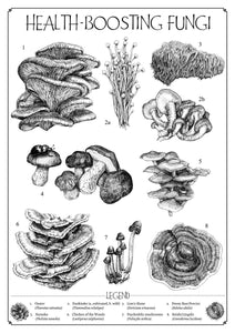 "Health-Boosting Fungi" Medicinal Mushrooms Giclée Fine Art Print on Bamboo - Gnostic Forest Art