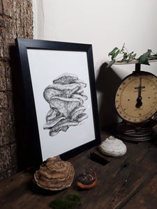"Oyster Mushroom" Pen and Ink Mushroom Recycled Print - Gnostic Forest Art