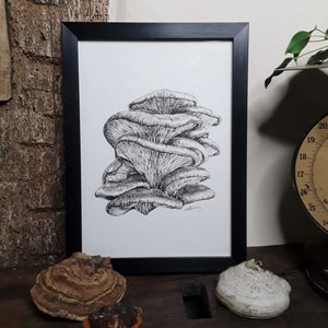 "Oyster Mushroom" Pen and Ink Mushroom Recycled Print - Gnostic Forest Art