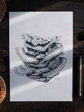 Load image into Gallery viewer, &quot;Chicken of the Woods&quot; Pen and Ink Mushroom Recycled Print - Gnostic Forest Art