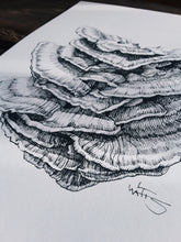 Load image into Gallery viewer, &quot;Chicken of the Woods&quot; Pen and Ink Mushroom Recycled Print - Gnostic Forest Art