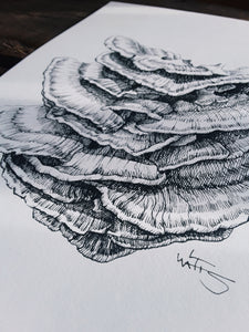 "Chicken of the Woods" Pen and Ink Mushroom Recycled Print - Gnostic Forest Art