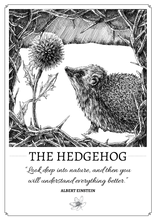 Load image into Gallery viewer, &quot;The Hedgehog&quot; Original Pen and Ink Artwork - Perlino Recycled Print in A4 - Gnostic Forest Art