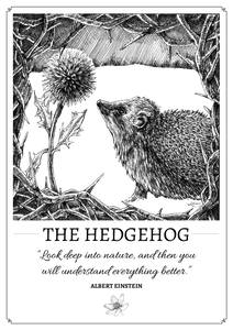 "The Hedgehog" Original Pen and Ink Artwork - Perlino Recycled Print in A4 - Gnostic Forest Art