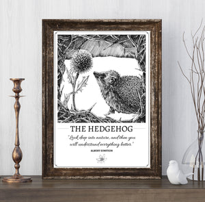 "The Hedgehog" Original Pen and Ink Artwork - Perlino Recycled Print in A4 - Gnostic Forest Art