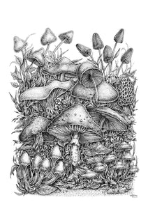Pen and Ink "Spirit of the Mushroom" Reproduction/Giclée Fine Art Print - Gnostic Forest Art